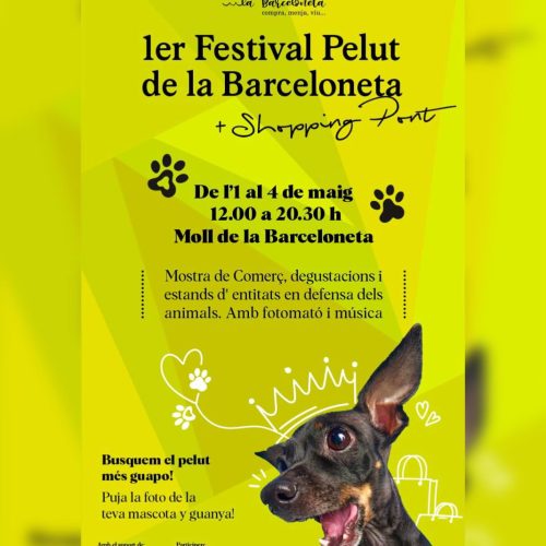 494231086_1110862164402869_8919418194243044450_n